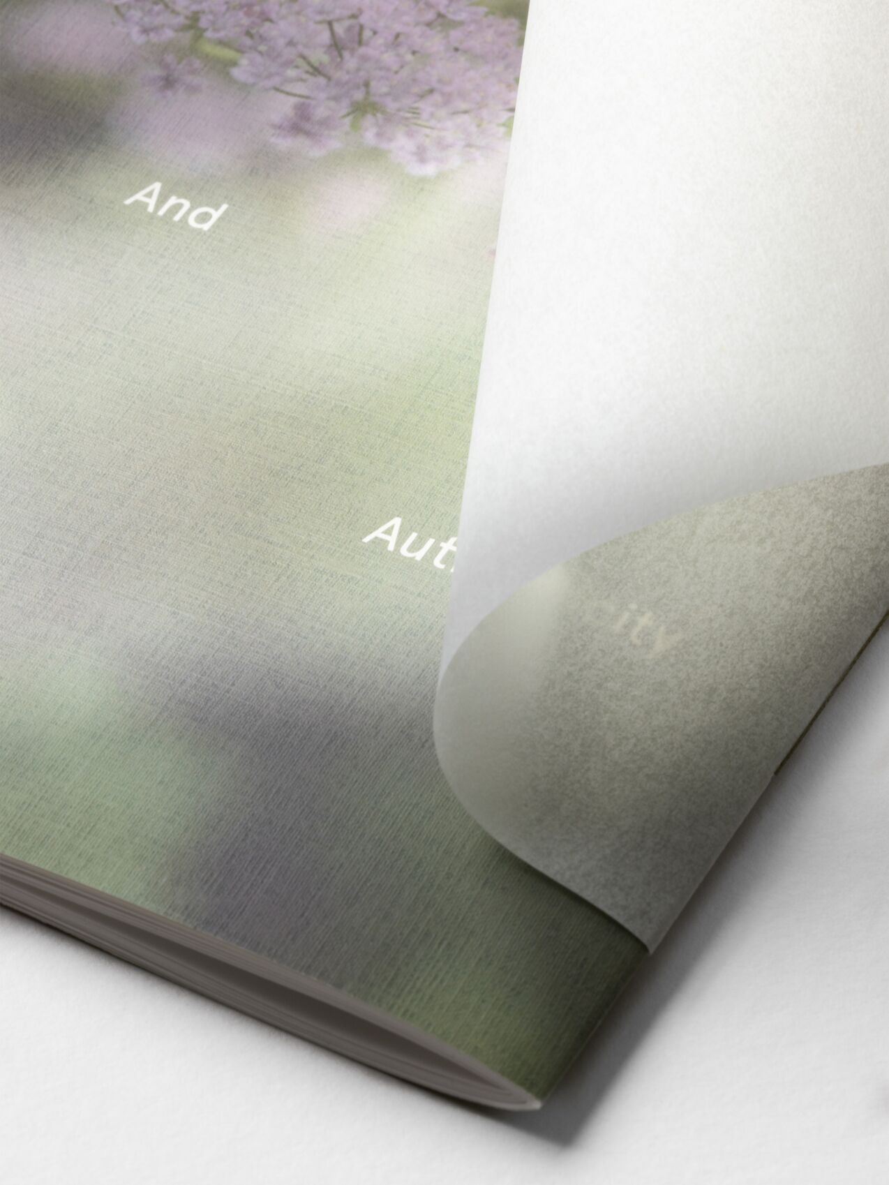 Aloof Studio for Farlam & Chandler