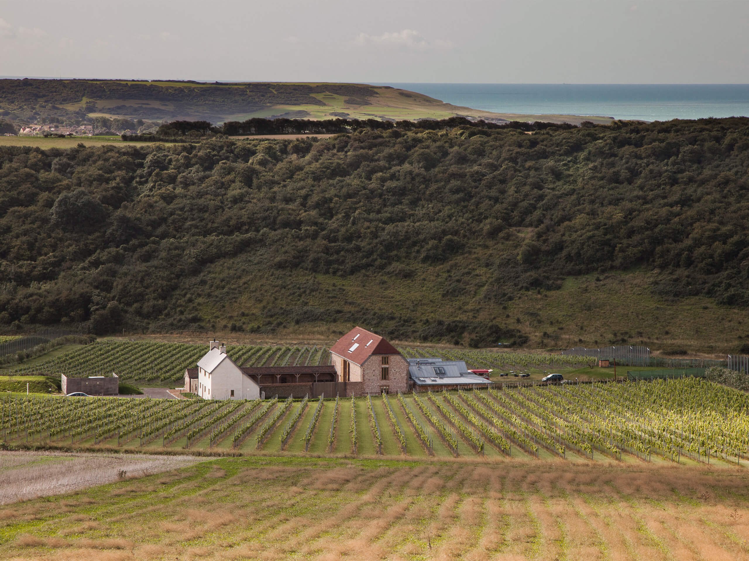 Aloof Studio for Rathfinny Wine Estate