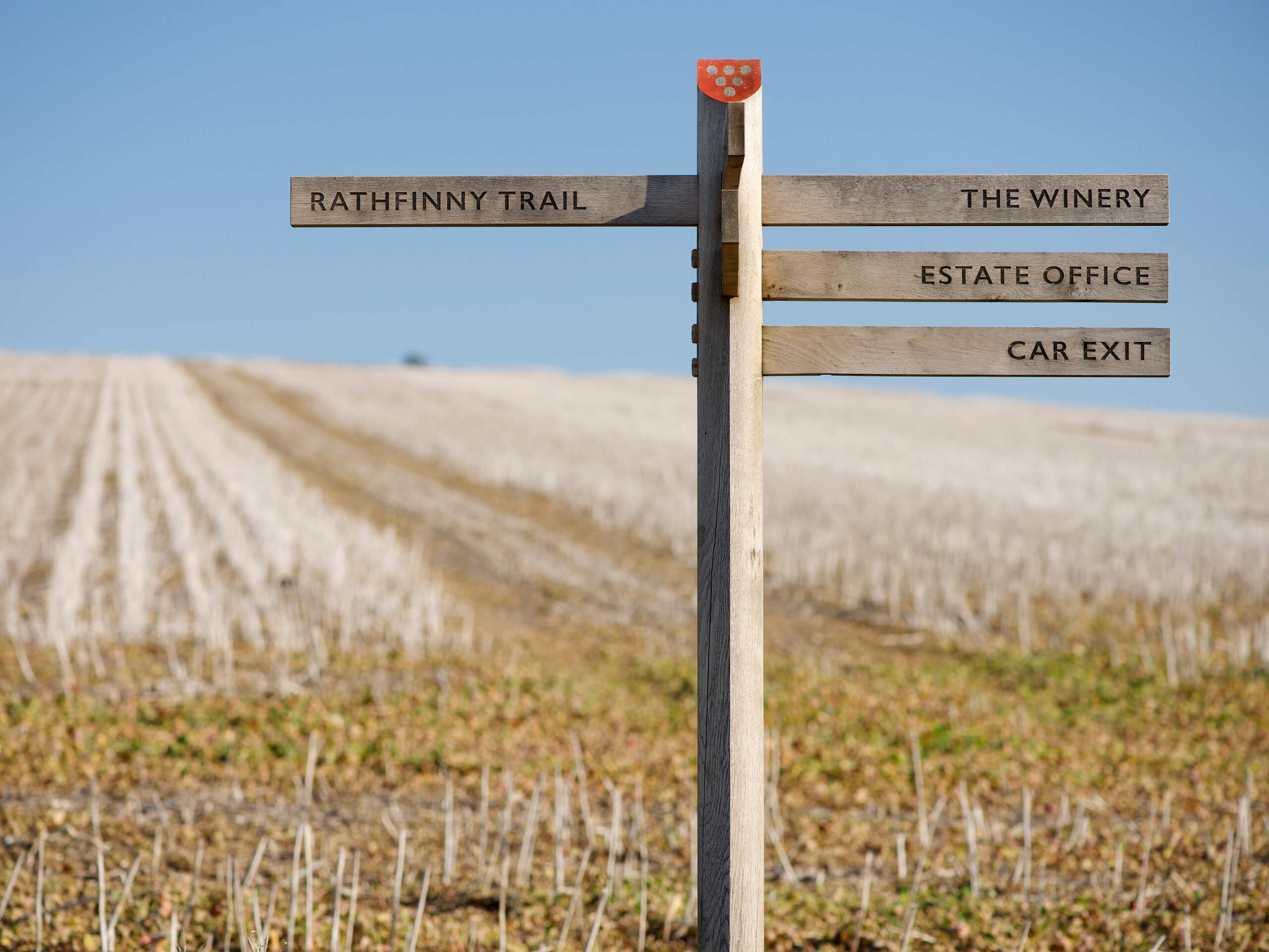 Aloof Studio for Rathfinny Wine Estate